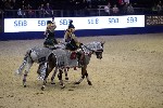 Quadrille - 00684